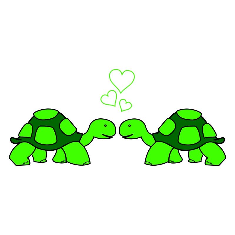 Turtle Love