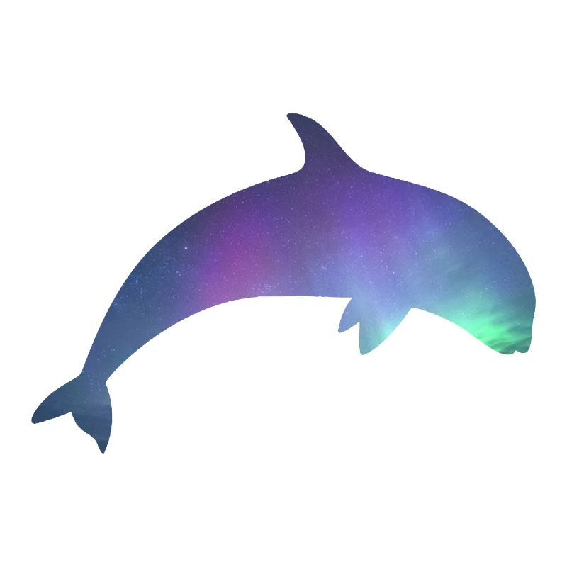 Orca/Killerwal mit Nordlichtern