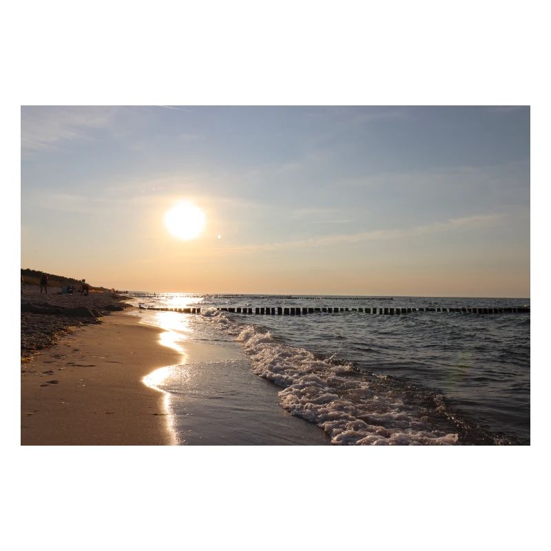 Endless Summer