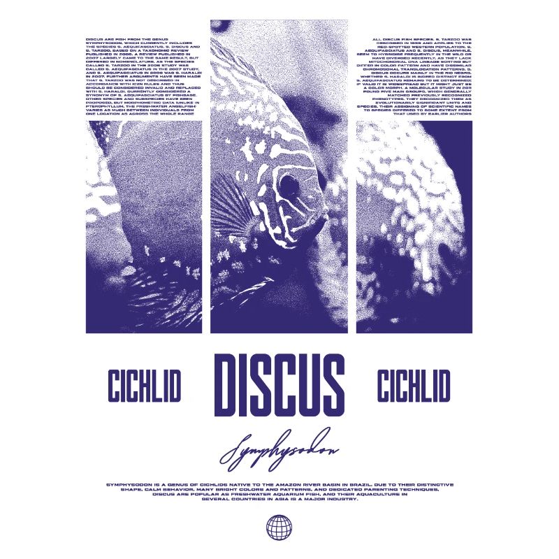 Discus Cichlidé Aquarium Fish Keeper