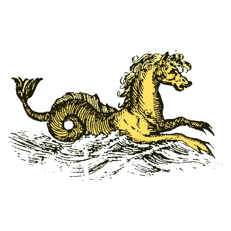 Seepferdchen
