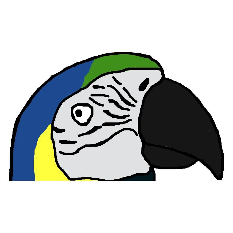 blue macaw
