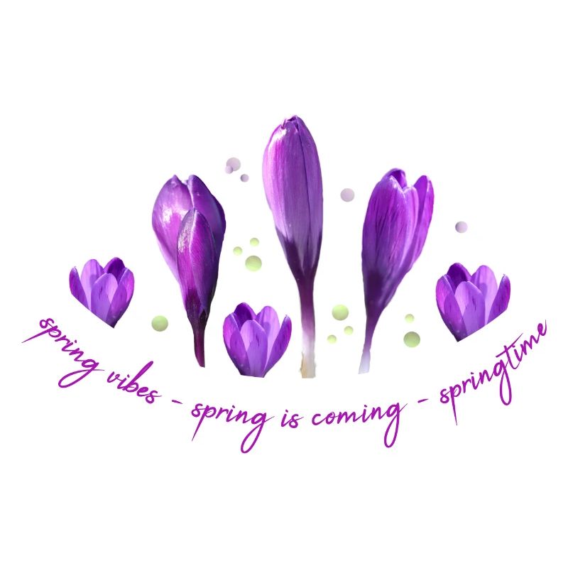 Crocuses Spring