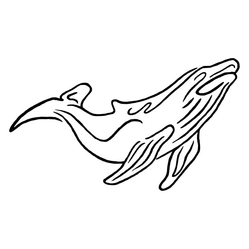 walvis