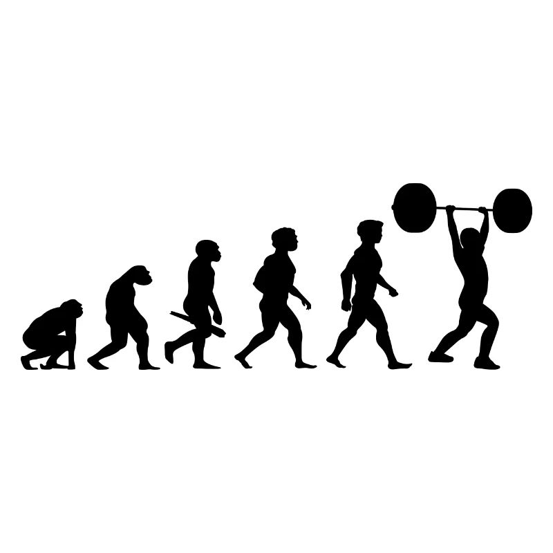 Evolution Weightlifting Weightlifting Bodybuilding