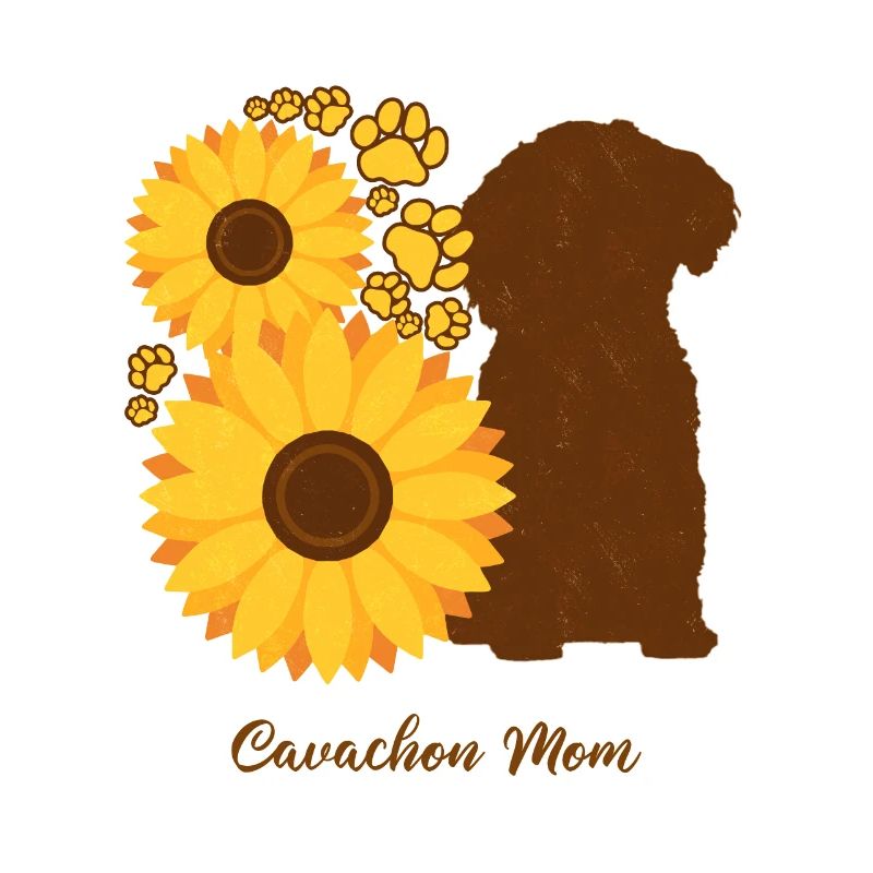 Sonnenblumenmutter - Cavachon