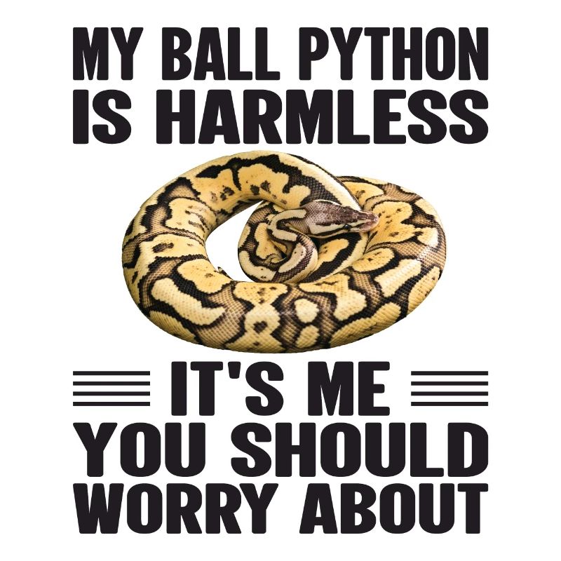 I'm worried - Ball Python Snake