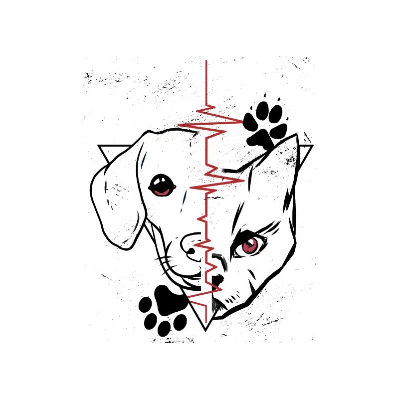 Chien et chat