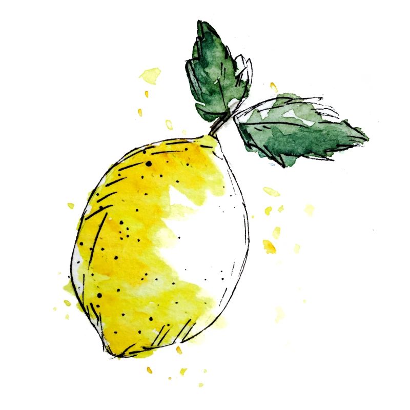 frais d'agrumes