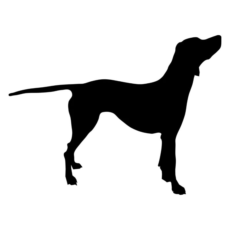 Dalmatian