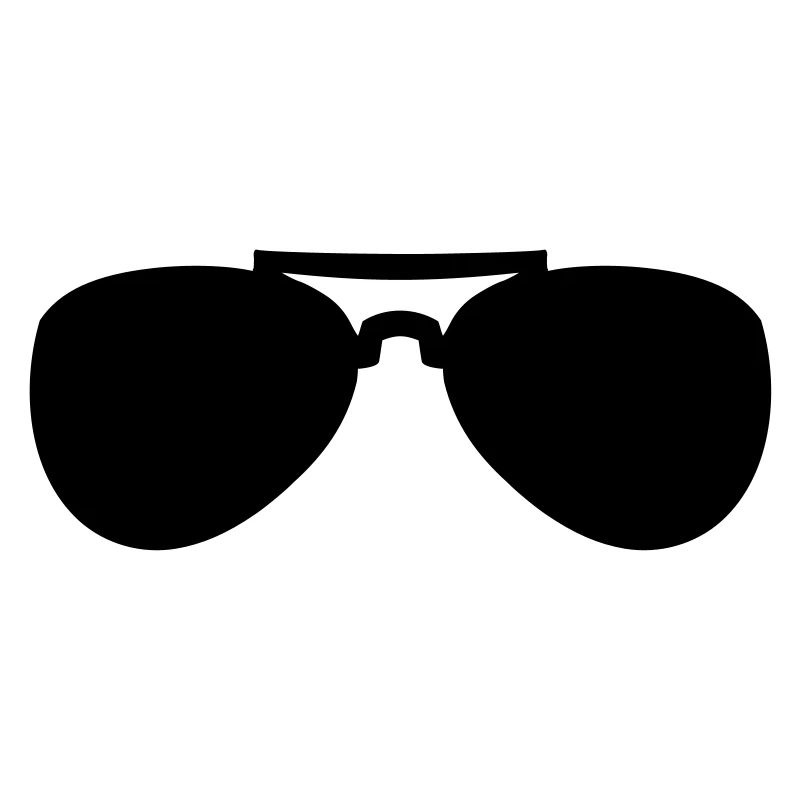 Lunettes de soleil