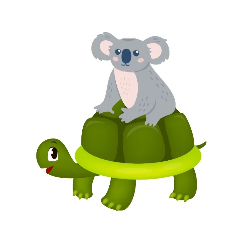 Koala Riding Turtle Gift