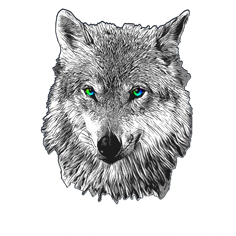 Wolf
