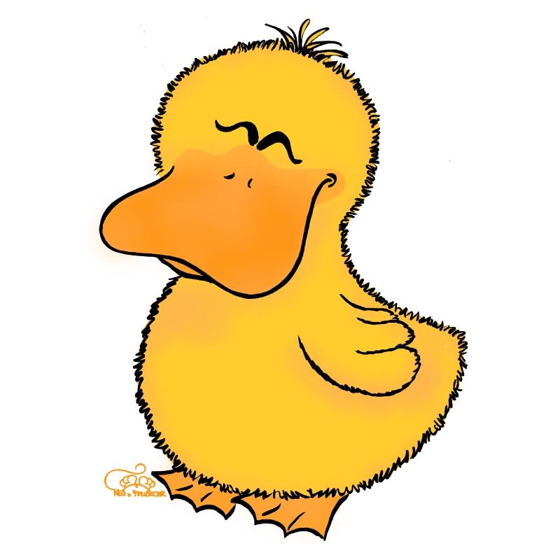 Duckli
