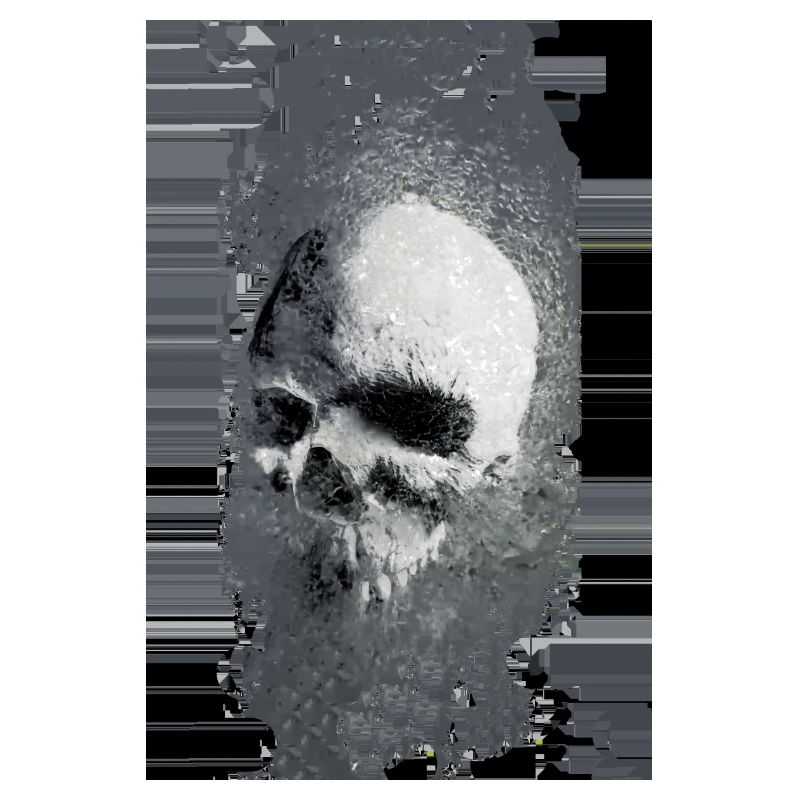 skull bug