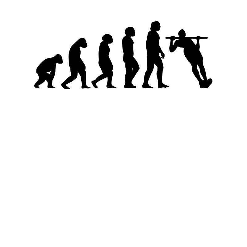 Fitness Calisthenics Evolution