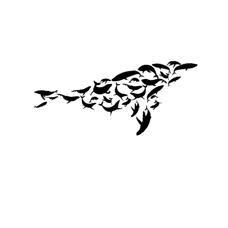Baleine, Béluga, Rorqual bleu, Rorqual à bosse, Océan, Biologiste marin