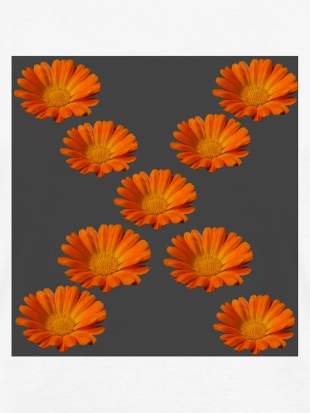 Ringelblume