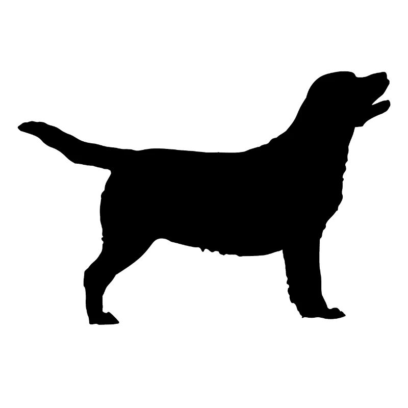 Labrador