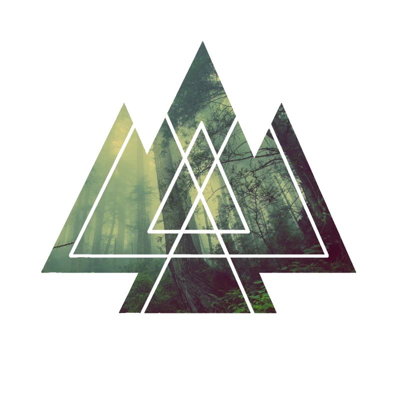 mystical forest with geometry