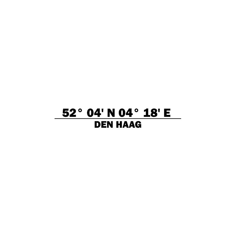 The Hague Coordinates