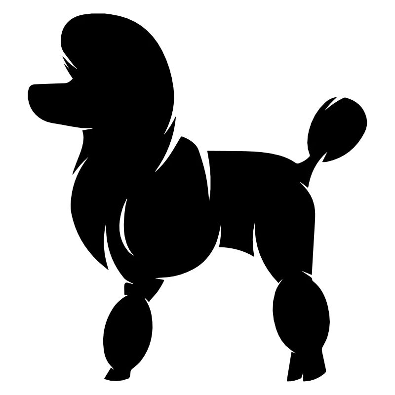 Königspudel