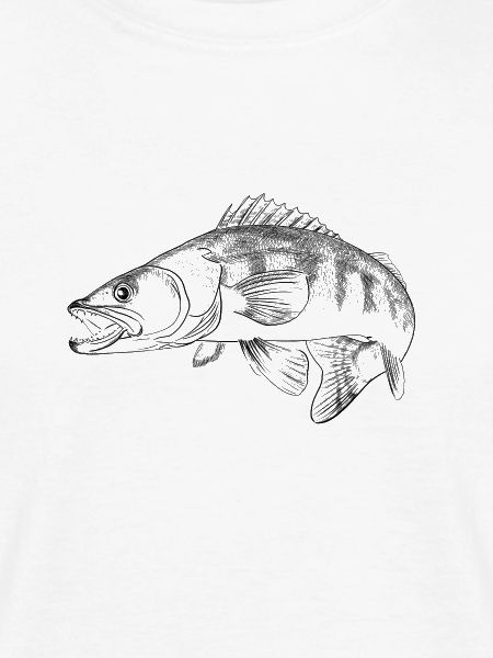 pike-perch
