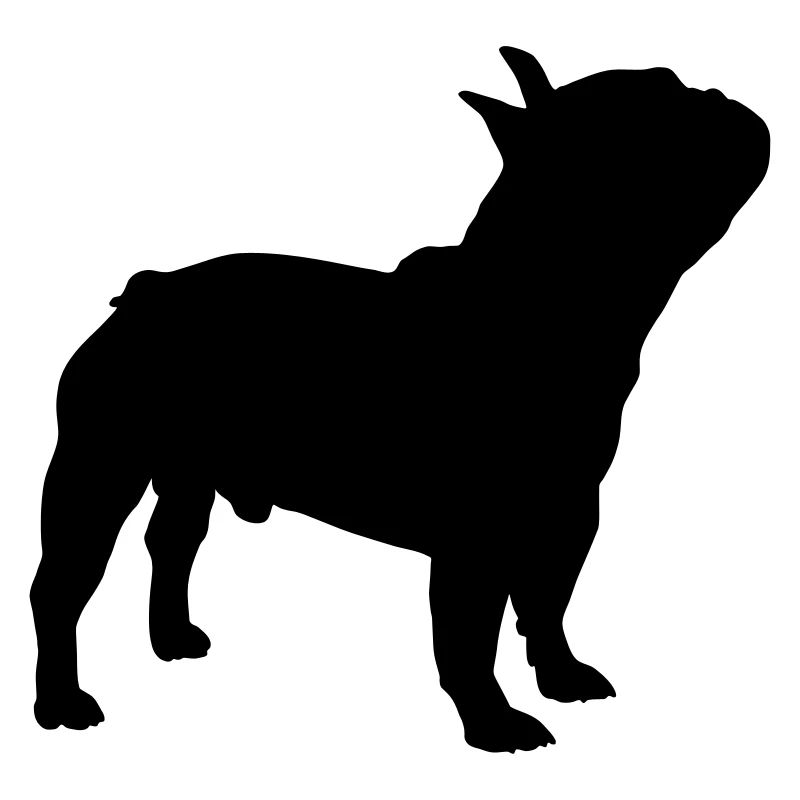 Bouledogue français