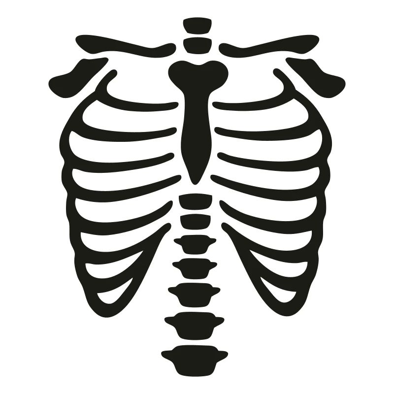 xray_vector