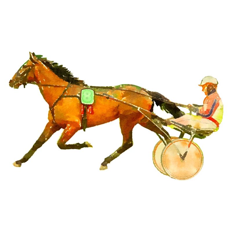 race