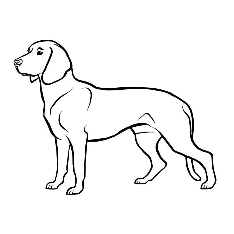 Chien de soudage hanovrien