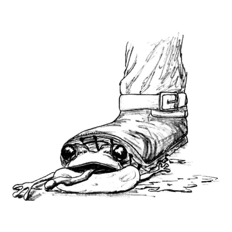 Ouch! Frog is trampled by boots