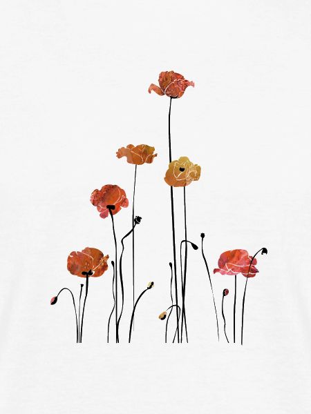Mohnblume Klatschmohn