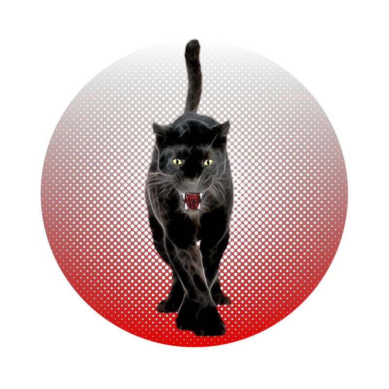 Noir Cougar schwarzer Panther CB Chat Noir