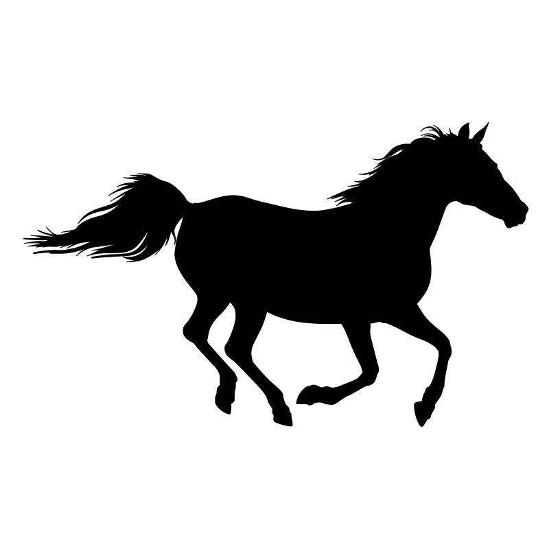 Shagya Arabski Galop Koń Miłość