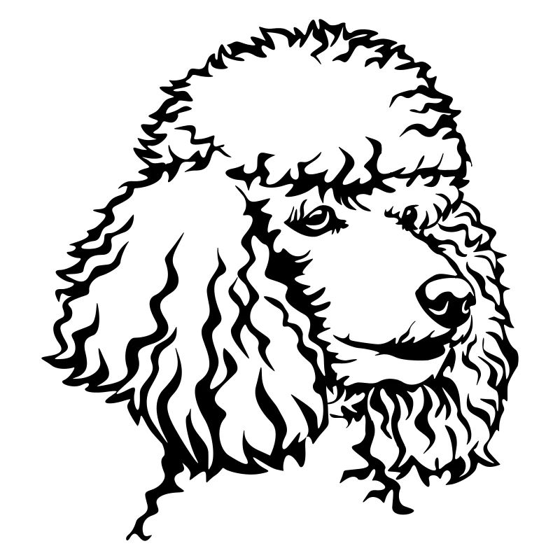 Poodle head