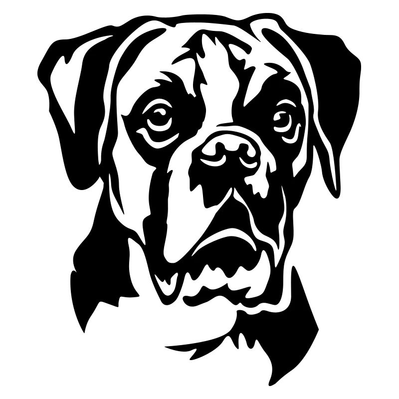 Boxer Head