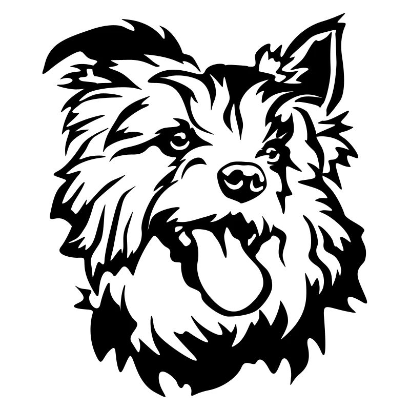 Tête de terrier australien