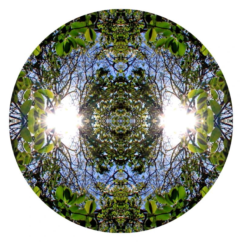 Nature Mandala Source à Nbg Erlenstegen