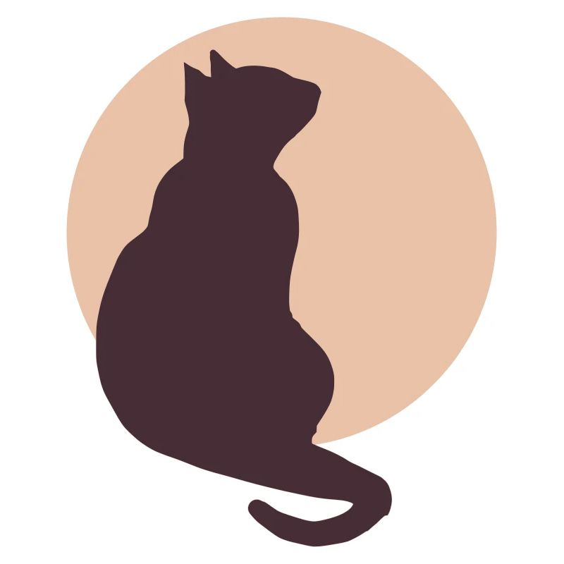 Chat de la Lune