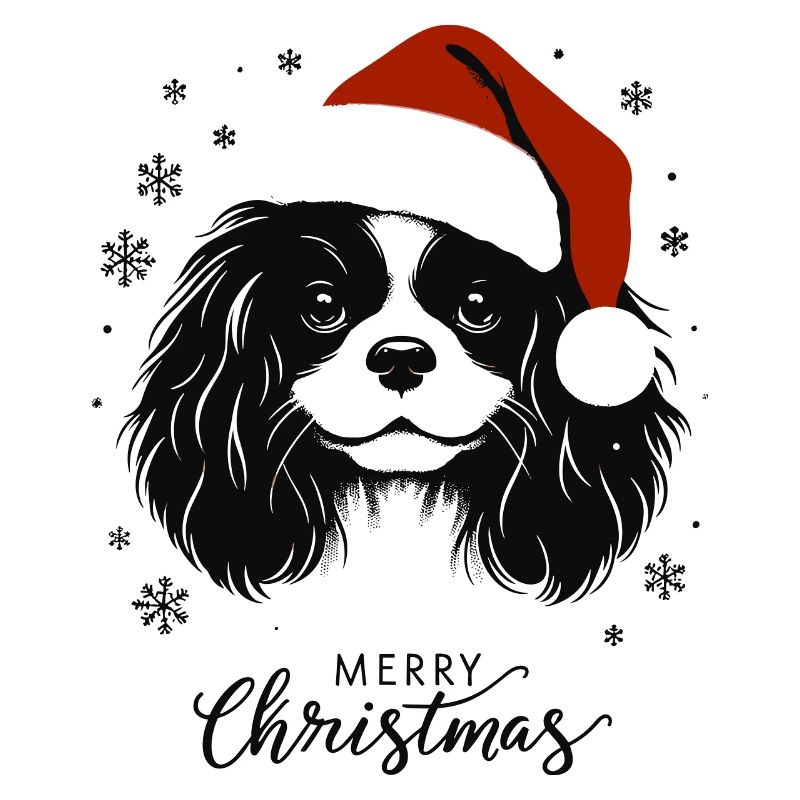 Cavalier King Charles Spaniel - Joyeux Noël