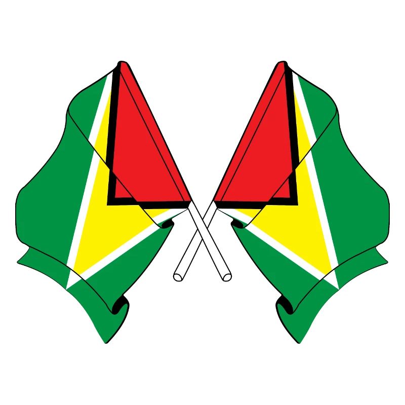 Deux drapeaux croisés de la Guyane