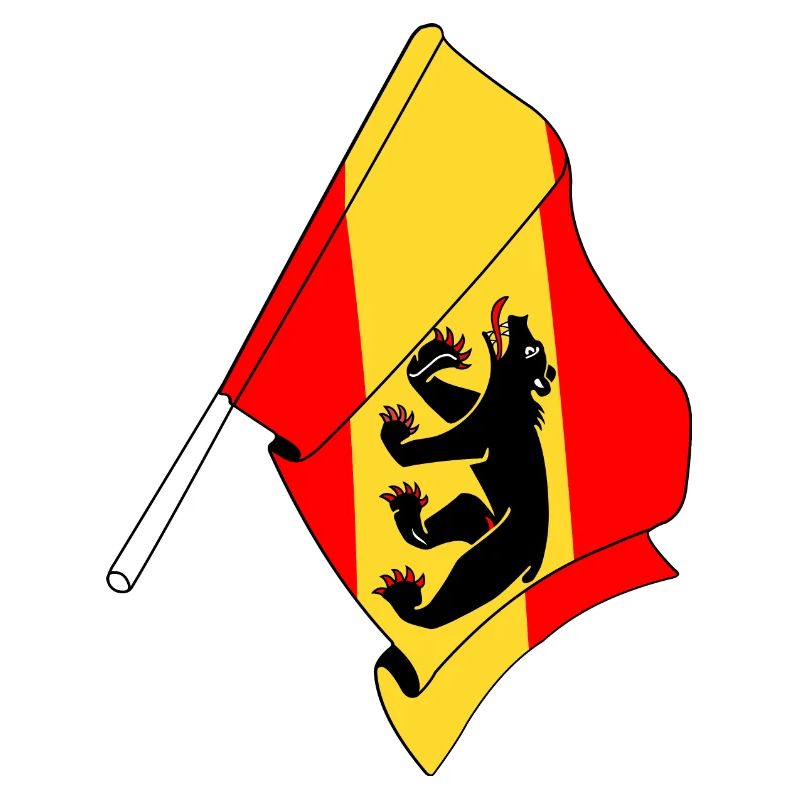 Drapeau Berne Suisse