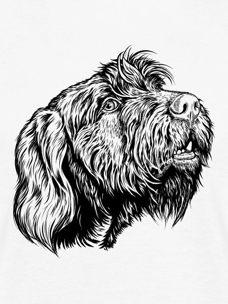 Pudelpointer redet mit