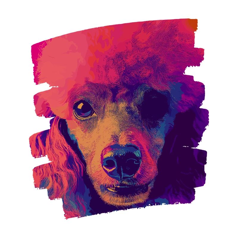 Caniche