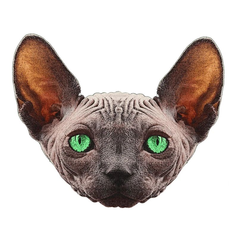 nacktkatze, sphings katze