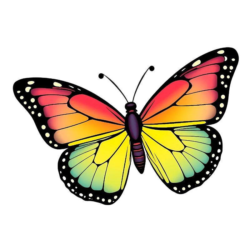 Papillon