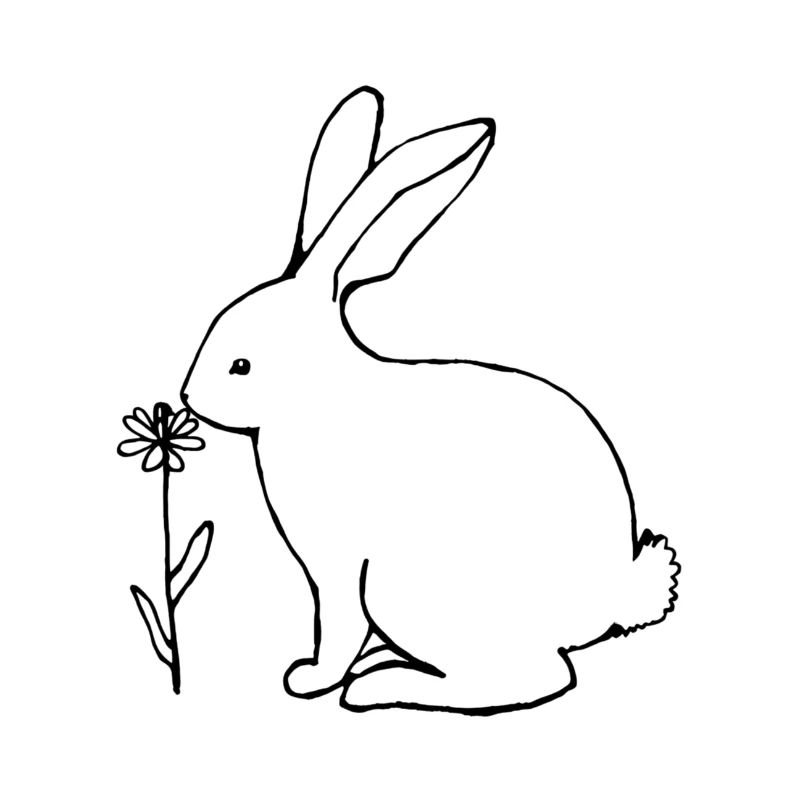 Hase, der an einer Blume riecht, Strichkunst