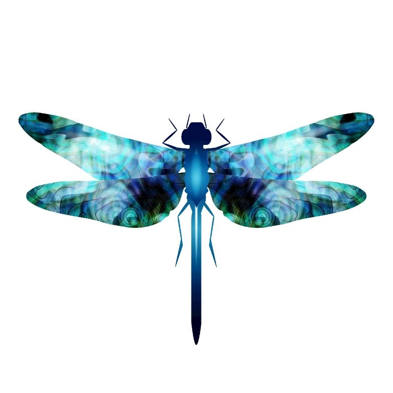 Libellule irisée dans les tons bleu-vert