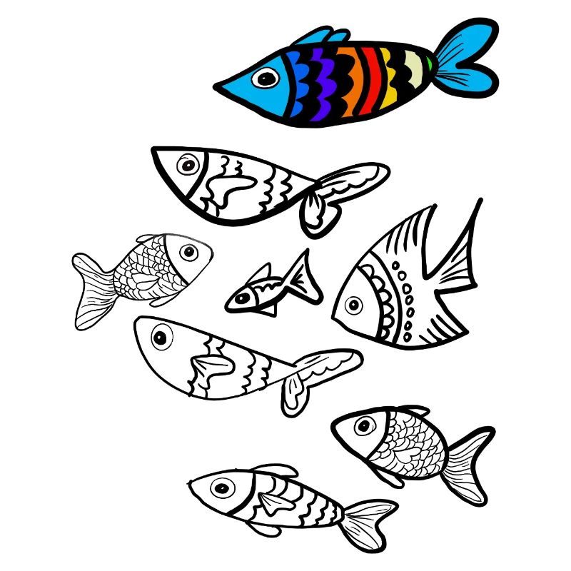 Colorful fish over fish